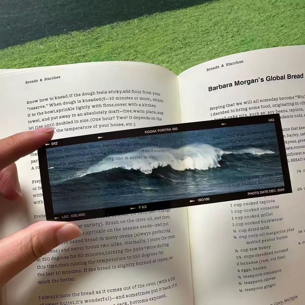 Pamiętniki Morza Motyw Oceanic – Dried Flower Bookmark recenzja i cena